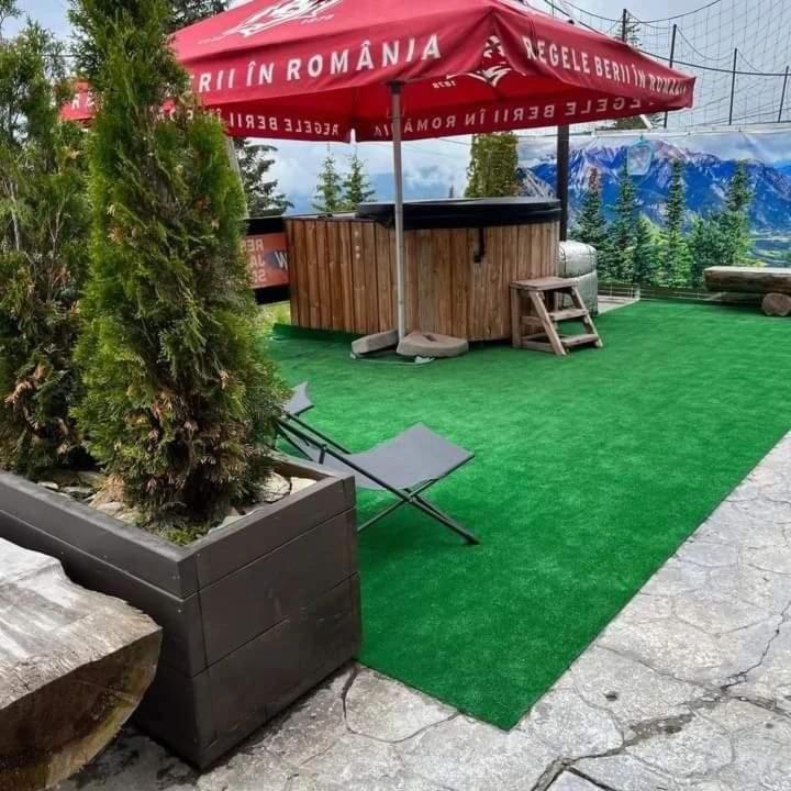 Pensiunea Alpin Ranca Exterior photo